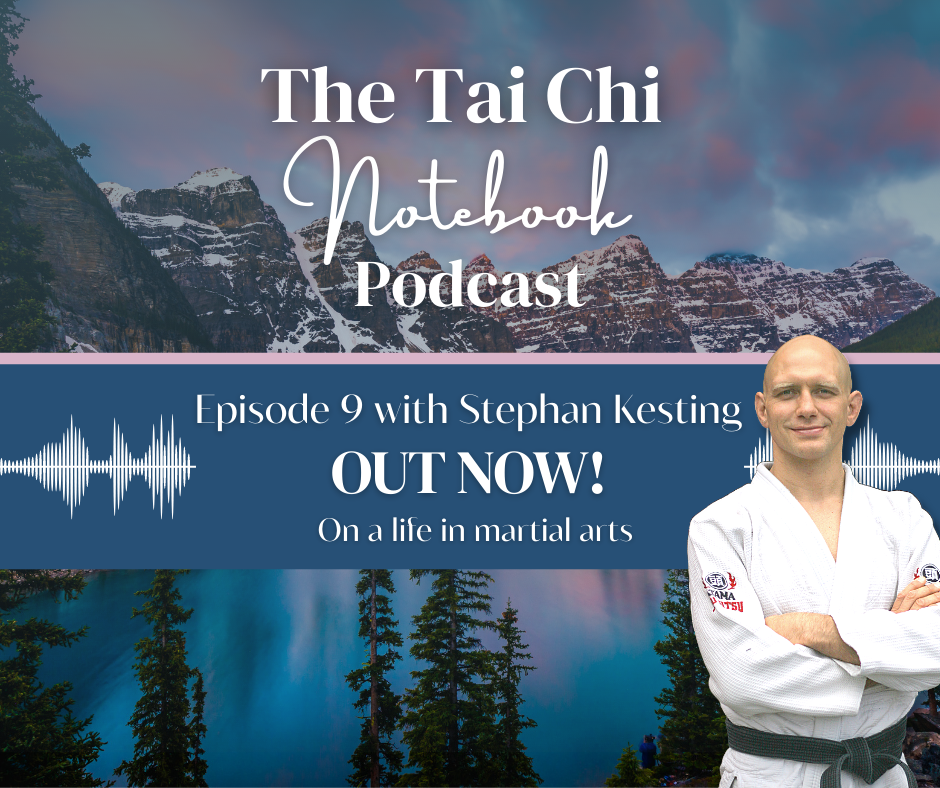 Martial Arts Clique kestingfacebook Stephan Kesting on the martial arts life