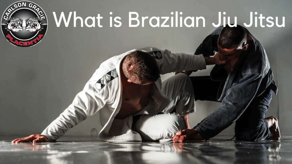 Martial Arts Clique what is brazilian jiujitsu What is Brazilian Jiu Jitsu (BJJ)? - StudyMartialArts.Org