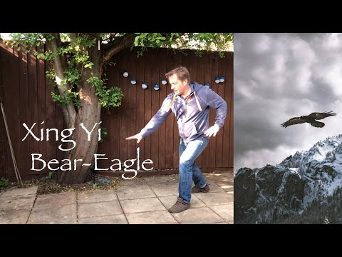 Martial Arts Clique 0 Are set forms the death of creativity?