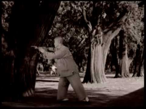 Martial Arts Clique 0 1 A valuable Tai Chi documentary from the 1950s