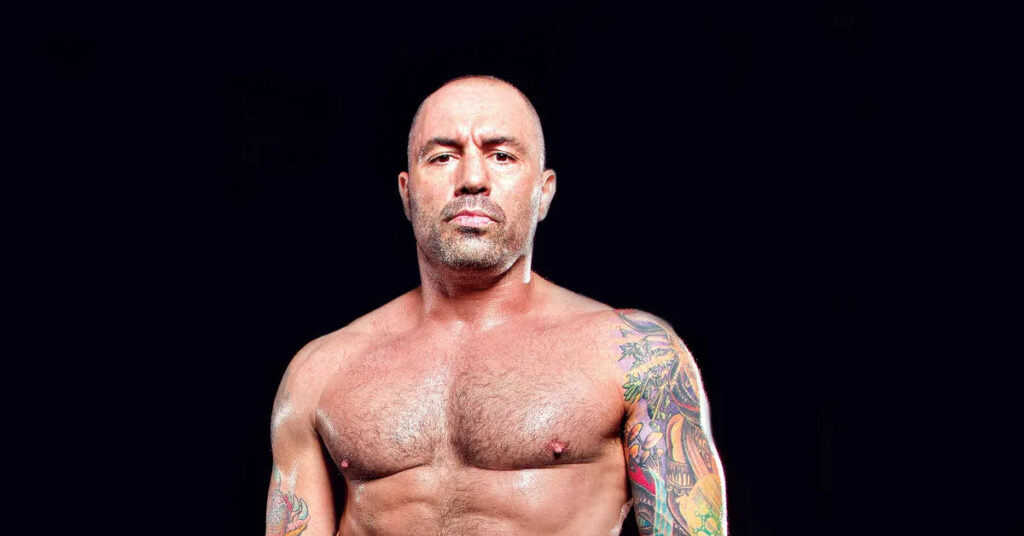 Martial Arts Clique MartialArtsClique Did Joe Rogan Fight Professionally What Was His Record Did Joe Rogan Fight Professionally? (& What Was His Record)