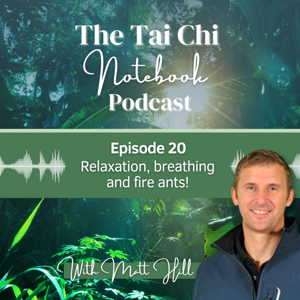 Martial Arts Clique 316366188 2252049781631619 6398983439098916295 n Ep 20: Matt Hill on relaxation, breathing and fire ants!