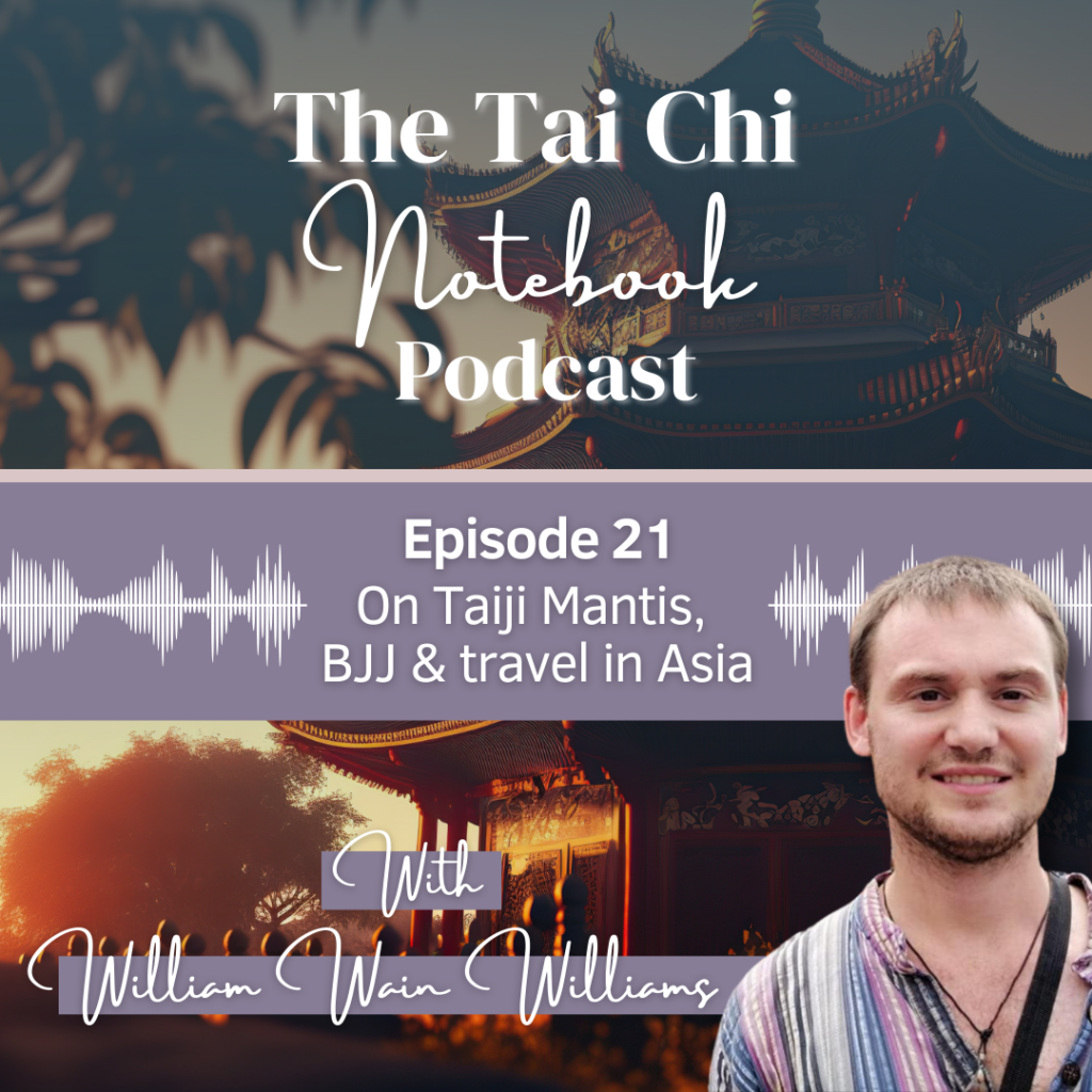 Martial Arts Clique 324457315 594792012461466 6244164592611559288 n Tai Chi Notebook Podcast Episode 21: Will Wain Williams on Taiji Mantis, BJJ and travel in Asia