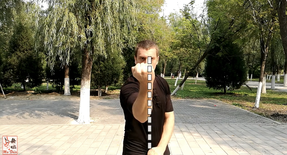 Martial Arts Clique screenshot 2023 03 24 at 08.36.30 The military roots of Xing Yi