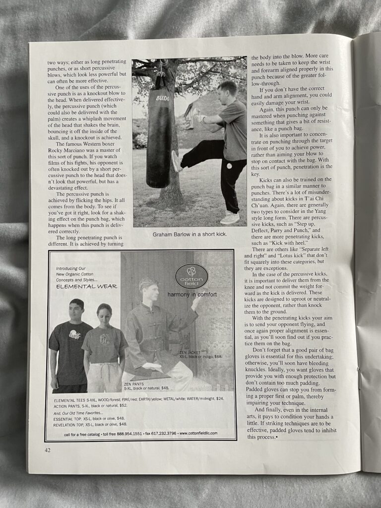 Martial Arts Clique img 1436 T’ai Chi magazine, AI and punching bags