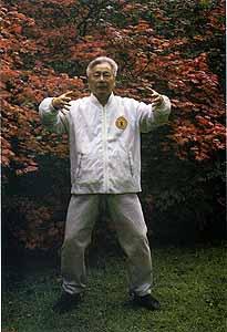 Martial Arts Clique professor yu yong nian Where should your elbows be in Xing Yi?