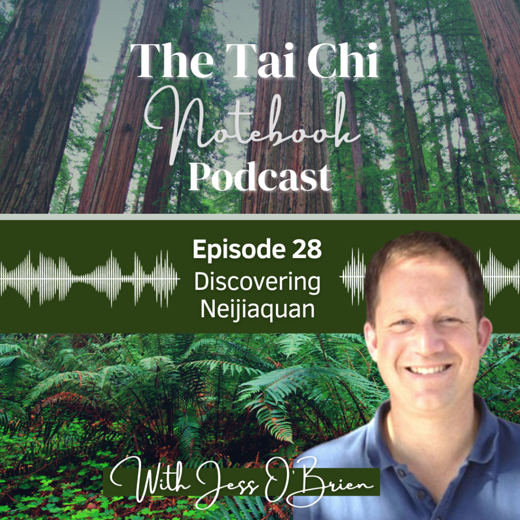 Martial Arts Clique 382244391 989266369042610 7735935185234485255 n New podcast: Discovering Neijiaquan, with Jess O’Brien