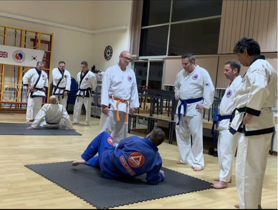 Martial Arts Clique tsd seminar1 Gentlemen, this is the ground