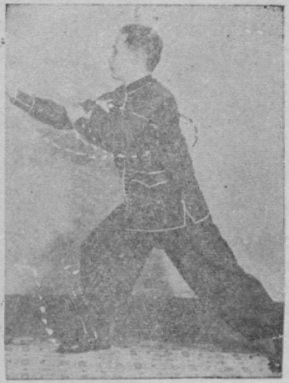 Martial Arts Clique torsoflung punch Tai Chi Applications: Needle at Sea Bottom, Fan through back, White Snake Spits out Tongue + Torso-Flung punch
