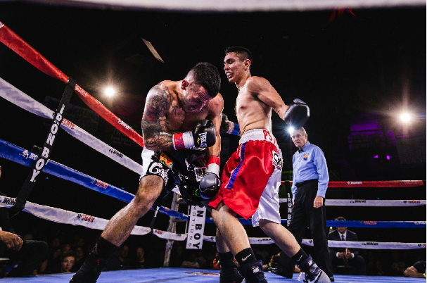 Martial Arts Clique MartialArtsClique Exclusive Promotions For 2024s Combat Sports Markets Exclusive Promotions For 2024's Combat Sports Markets