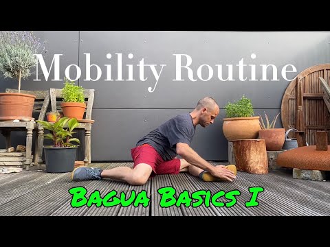 Martial Arts Clique 0 Open up your hips with these Bagua mobility exercises